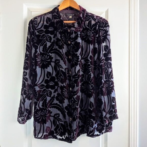 Citron Santa Monica Maroon Velvet Burnout Blouse - Picture 1 of 5